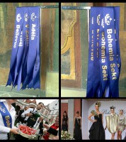 /album/fotogalerie-hostesky/sekt-jpg1/