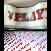 /album/fotogalerie-hostesky/ppb-jpg/