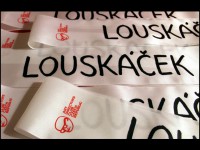 /album/fotogalerie-hostesky/lou-jpg/